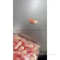 Capsules de machine de remplissage de capsules de pilule de pellets liquides NJP-260